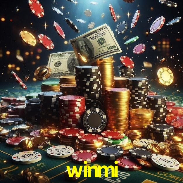 Interface Premium winmi
